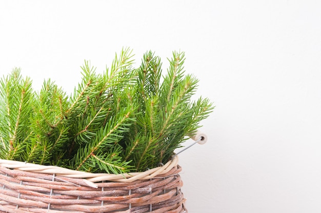 Fresh tree branches in a wicker basket on a white background
