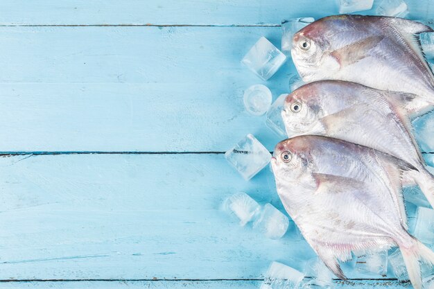 Fresh trout placed on blue wooden board