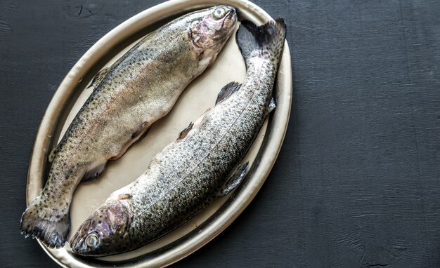 Fresh trouts in ice on vintage metal tray