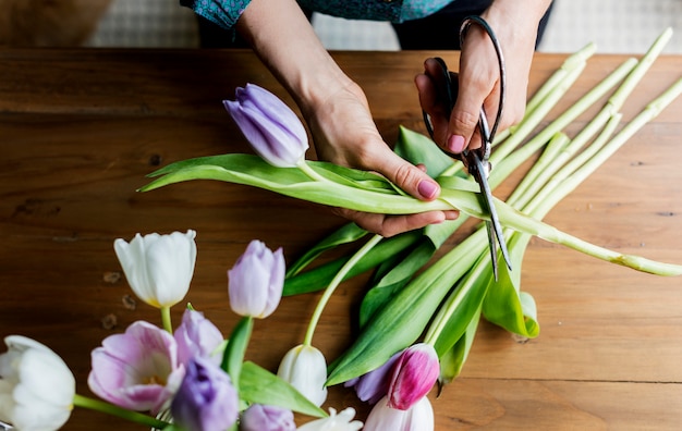 Fresh Tulips Flowers Arrangement Decorative