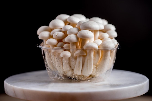 Fresh uncooked bunapi white shimeji edible mushrooms from Asia rich in umami tasting compounds