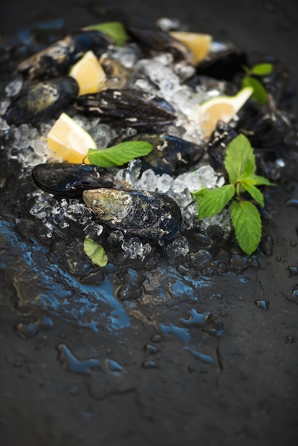 Fresh uncooked mussels with lemon, herbs and spices on chipped ice over dark slate stone 