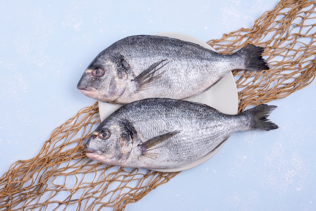 Fresh uncooked seafood fish with fish net