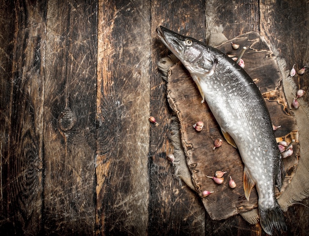 Fresh unprepared pike on cutting board on wooden table.