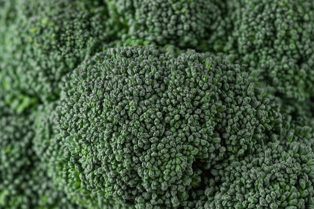 Fresh vegetable broccoli closeup macro broccoli head