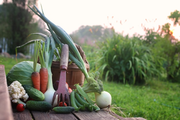 Photo fresh vegetable harvest nature outdoor