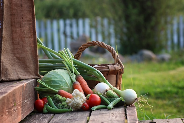 Fresh vegetable harvest nature outdoor