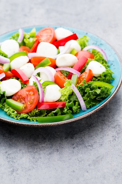 Fresh vegetable salad. Caprese. Caprese salad. Italian salad. Mediterranean salad. Italian cuisine. 
