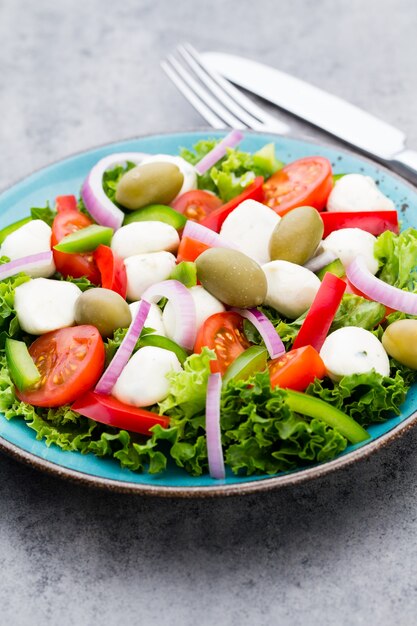 Fresh vegetable salad. Caprese. Caprese salad. Italian salad. Mediterranean salad. Italian cuisine. 
