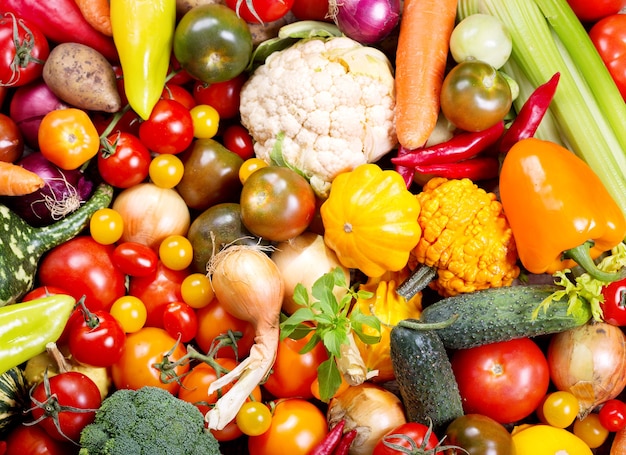 Fresh vegetables as , top view