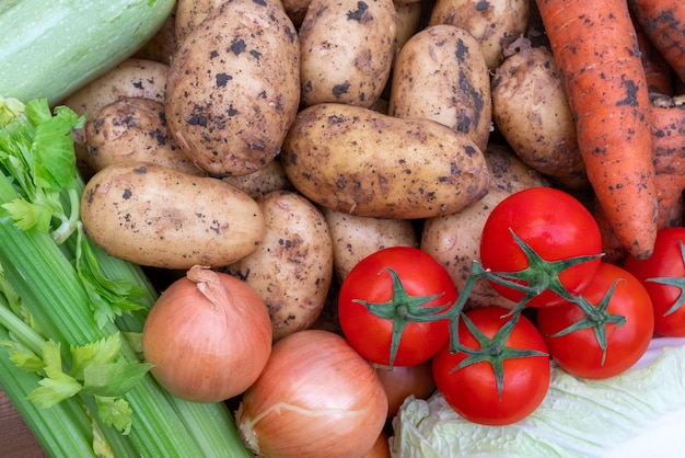 Fresh vegetables of autumn harvest. Useful ingredients of vegetable dishes.