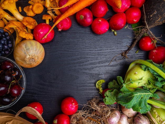 신선한 야채 배경 당근 무 콜라비 살구 양파 베리 수확 원예 개념 건강 식품 채식주의 깨끗한 식사 텍스트를 위한 공간