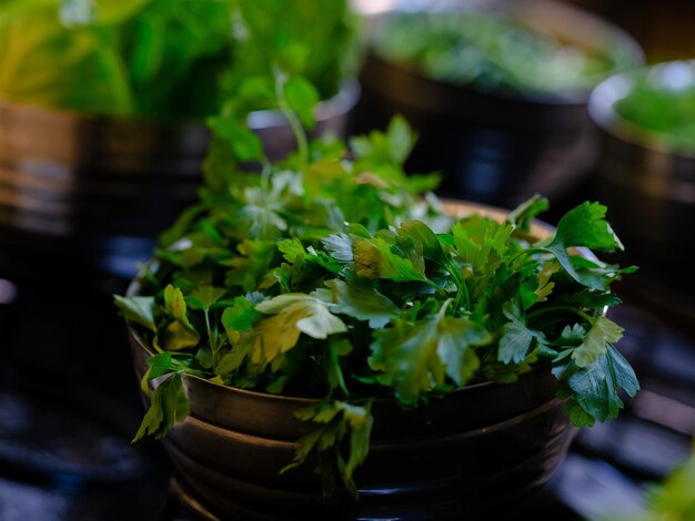 Fresh vegetables at the hotel buffet