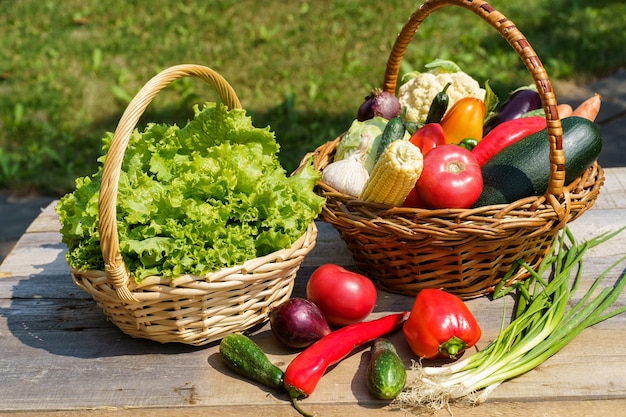 Fresh vegetables and lettuce in a basket in a summer garden in country house