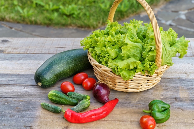 田舎の家の夏の庭のバスケットに新鮮な野菜とレタス