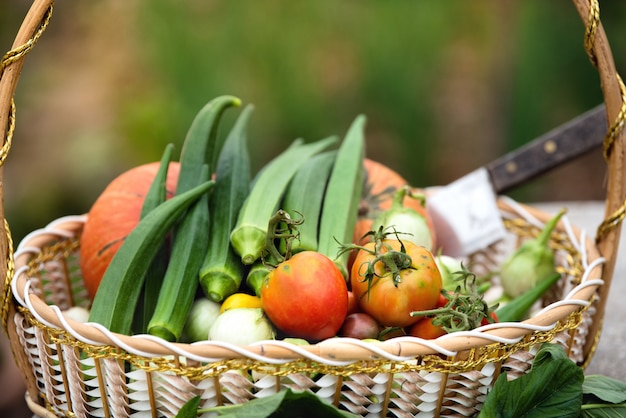 新鮮な野菜のバスケット、ハルバストマト