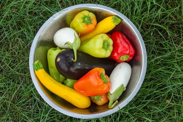 Fresh vegetables prepared on the grill outside.