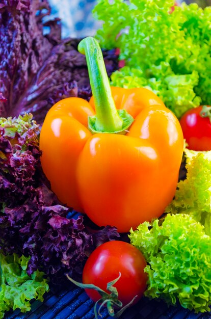 Свежие овощи и салатное масло для диетического питания