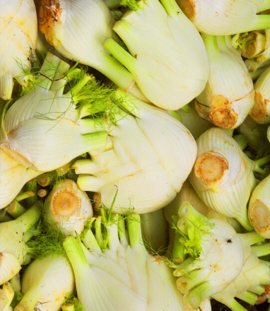 Fresh vegetables in supermarket