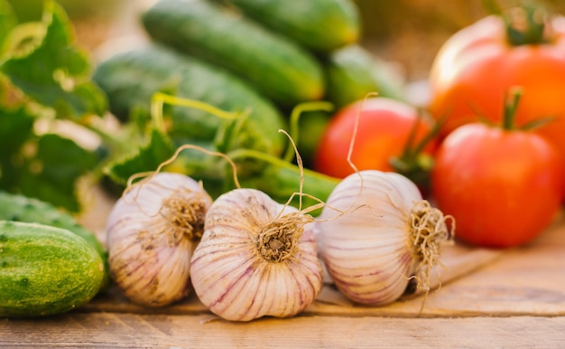 Fresh vegetables on a wooden background Cucumbers tomatoes garlic dill Contoured sunlight Organic farm Organic vegetables Summer harvest