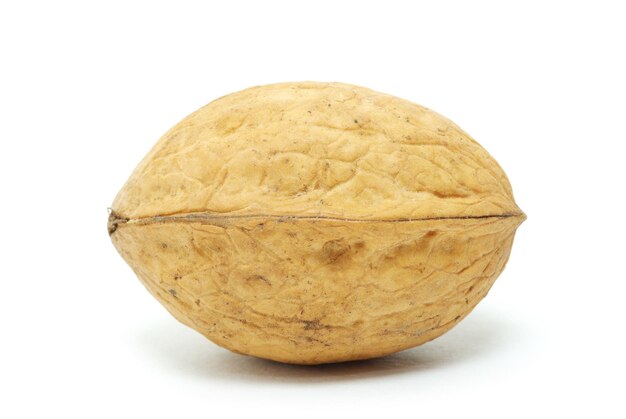 fresh walnuts isolated on a white background