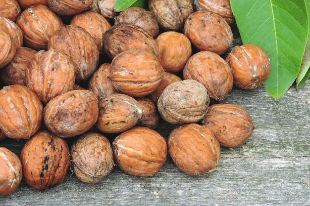 Fresh walnuts in shell. Walnut leaves. Harvest of walnuts. Freshly ripped walnuts.