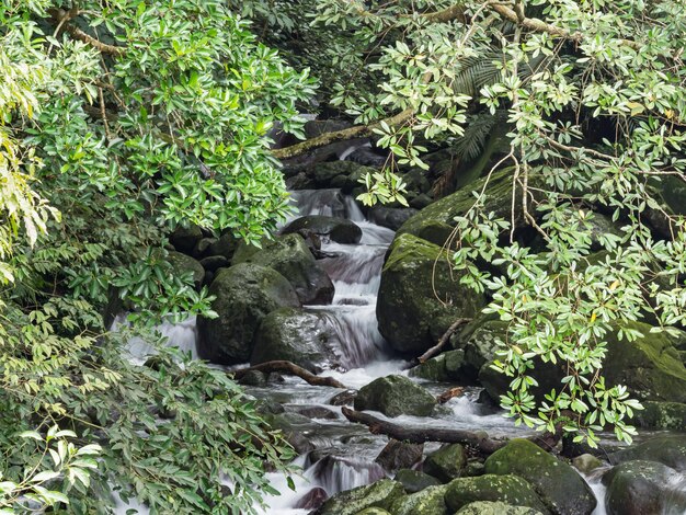 スローモーションで岩の上を下る道を見つける小川の淡水