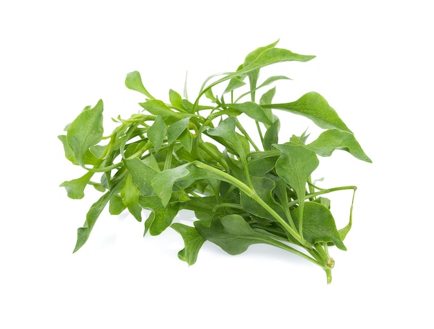 Fresh Watercress isolated on white surface