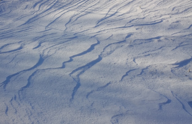 Photo fresh wavy snow surface in sunny winter day.