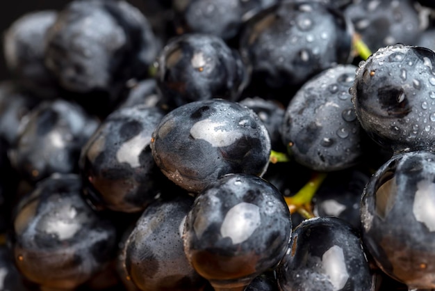 Fresh wet grapes of blue color