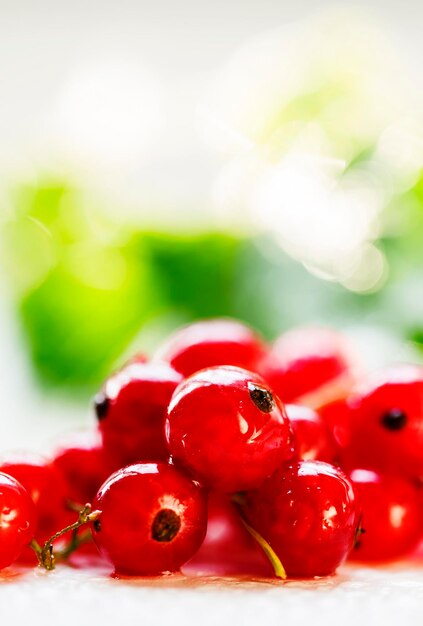 Fresh wet red currant with leaves white not isolated background macro shot selective focus shallow depth of field