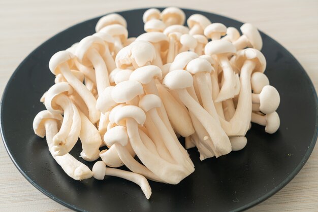 Fresh white beech mushroom or white reishi mushroom on plate