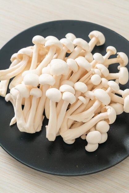 Fresh white beech mushroom or white reishi mushroom on plate