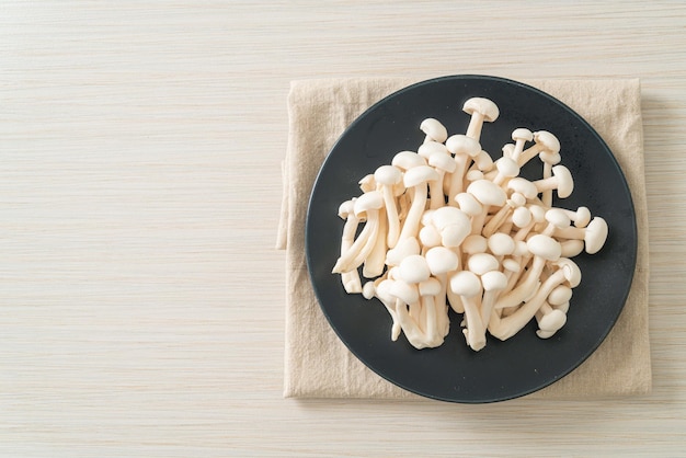 fresh white beech mushroom or white reishi mushroom on plate