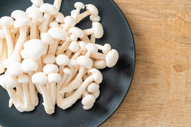 fresh white beech mushroom or white reishi mushroom on plate