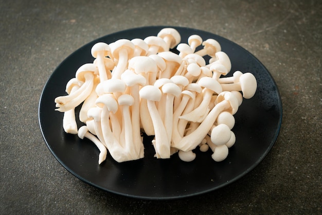 Foto fungo di faggio bianco fresco o fungo reishi bianco sul piatto