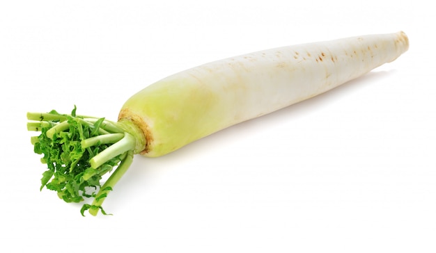 Fresh white radish isolated on white