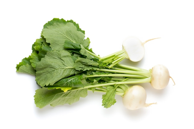 Fresh white round turnip radish on white background.