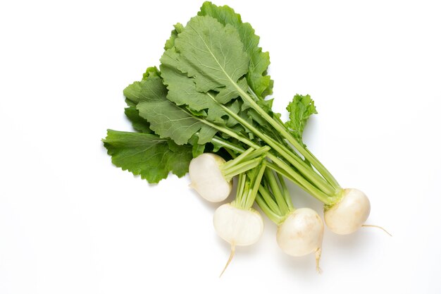 Fresh white round turnip radish on white background.