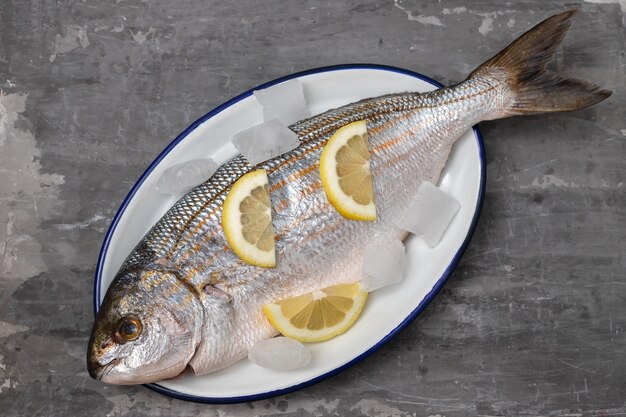 Fresh white seabream with ice and lemon on dish on ceramic background