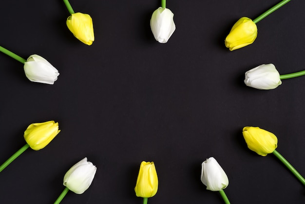黒の背景に新鮮な白と黄色のチューリップの花。上面図。