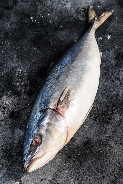 Fresh whole raw Japanese yellowtail. Fish Amberjack. Black background. Top view.