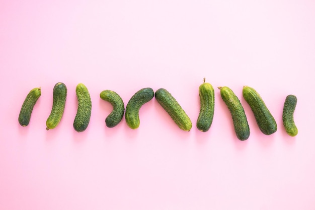 Fresh whole ripe cucumbers on pink background