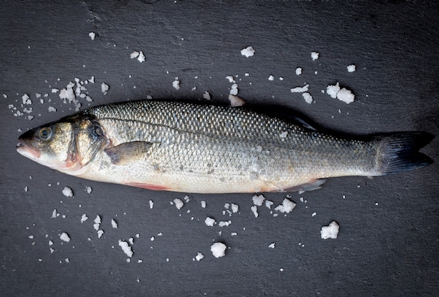 Fresh whole sea bass fish with salt on black background