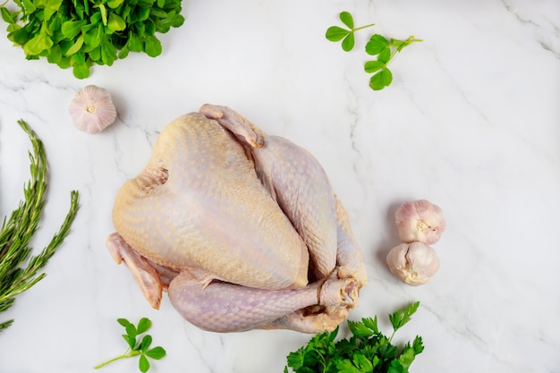 Fresh whole turkey on white background with herbs. Thanksgiving dish.