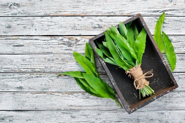 Fresh wild garlic leaves in a wooden box Wild leek Top view Free space for your text