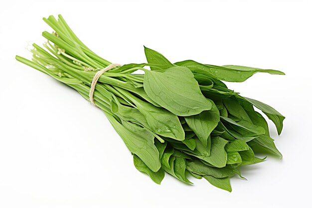 Photo fresh wild leek ramson bundle isolated on white