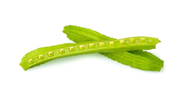 Photo fresh winged beans isolated on white background