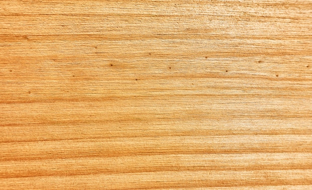 Fresh wooden texture with smooth surface - background