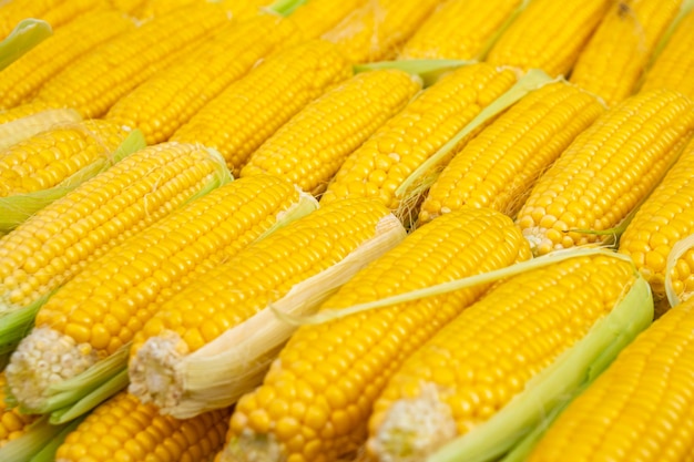 Свежая желтая кукуруза для продажи на фермерском рынке. Еда.